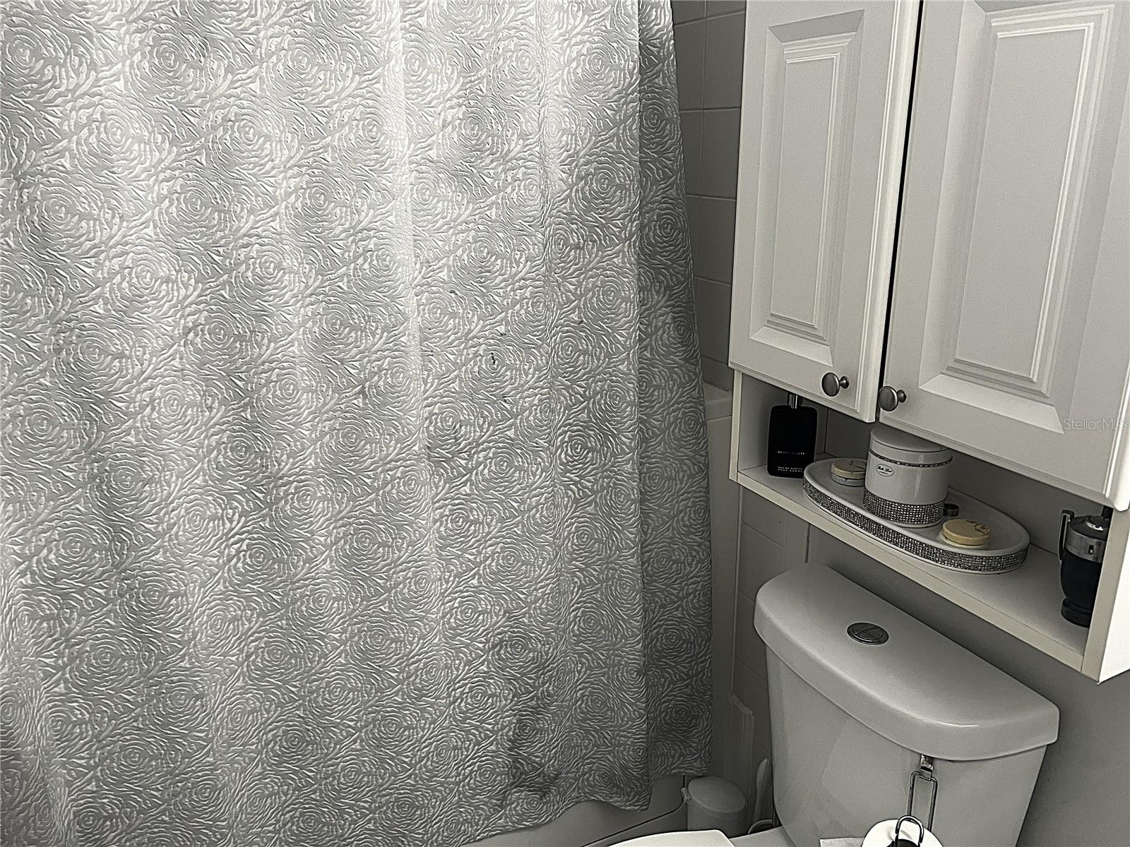 4251 PINEBARK AVE #17-3, ORLANDO, FL, 32811