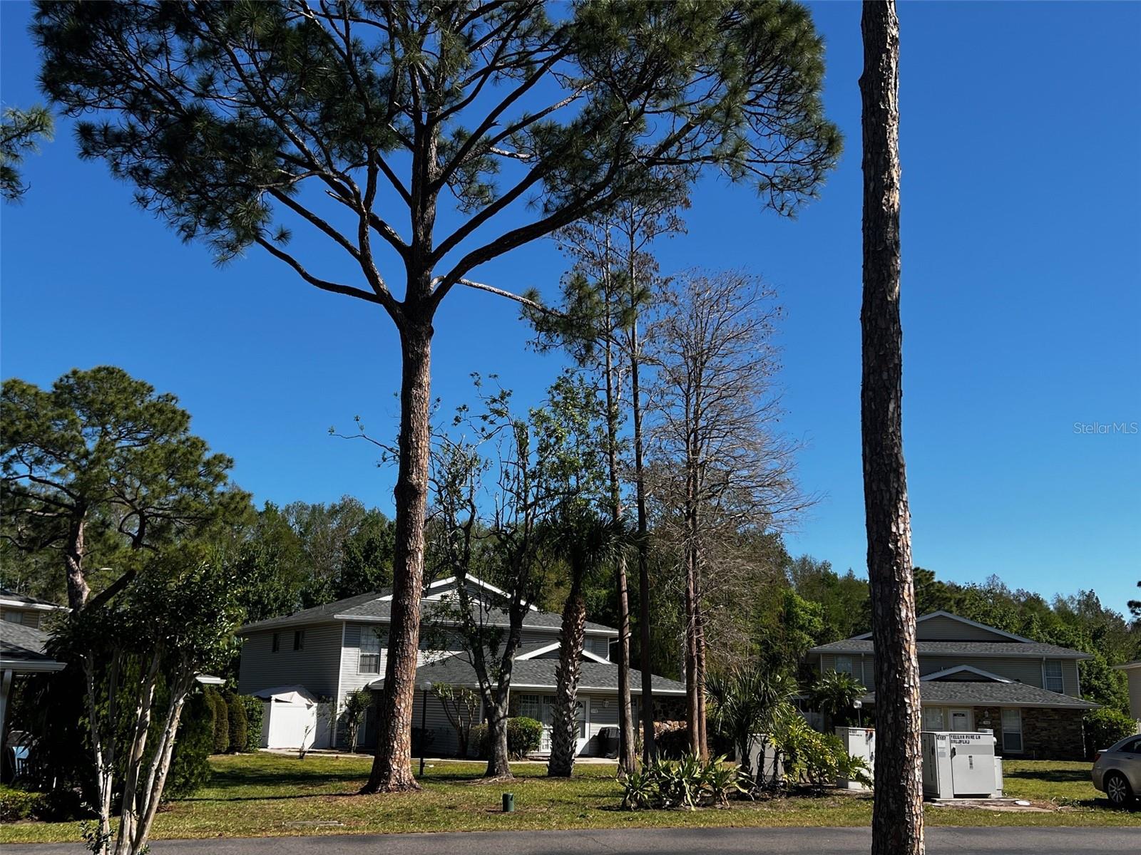 4251 PINEBARK AVE #17-3, ORLANDO, FL, 32811