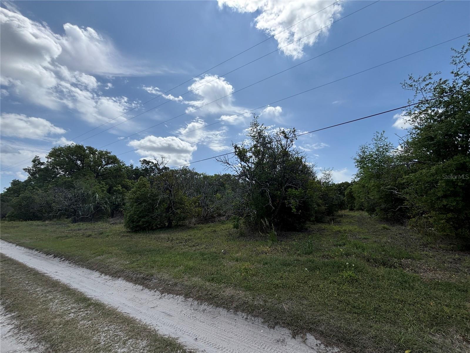 162ND PL SE, WEIRSDALE, FL, 32195