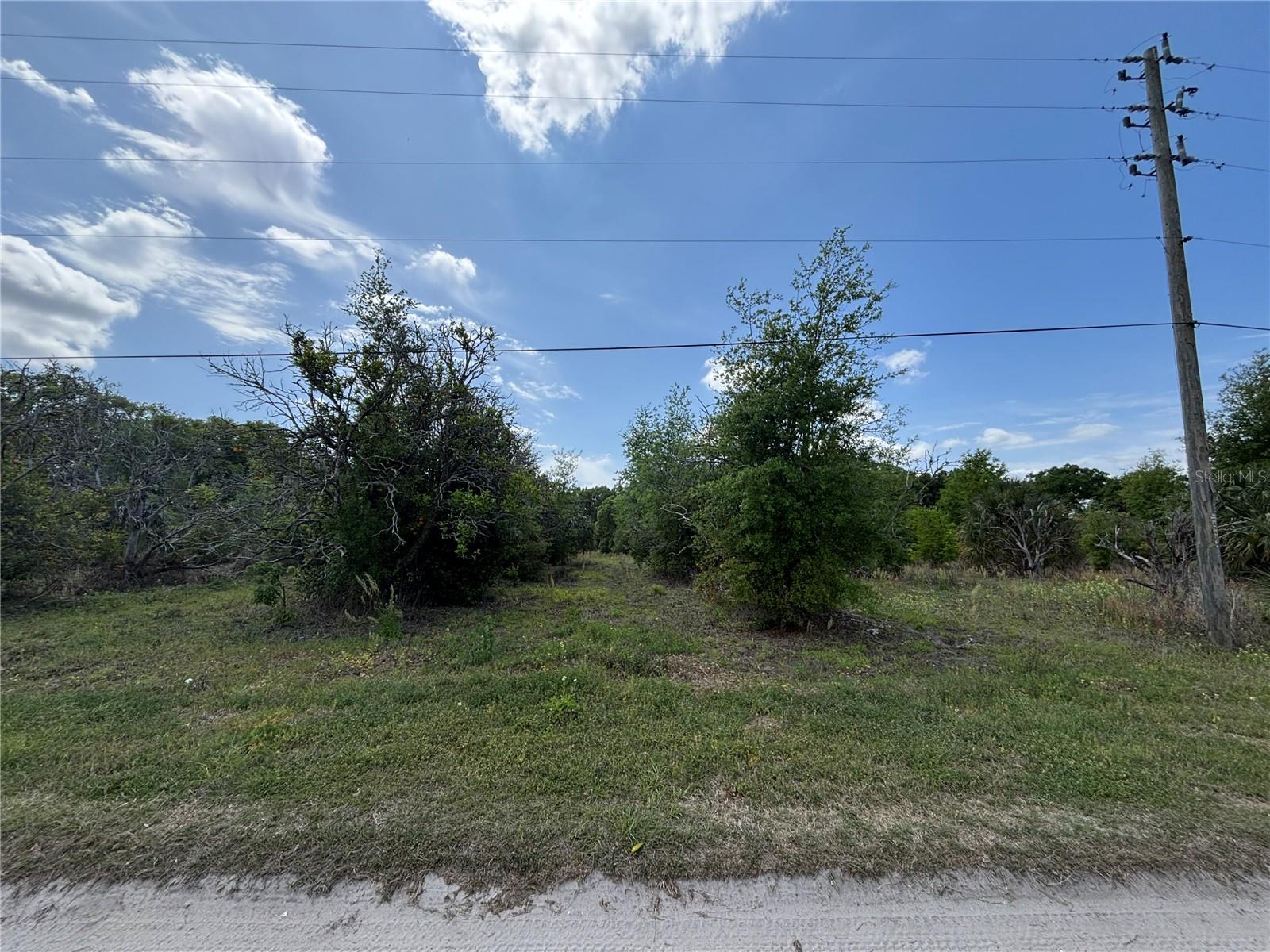 162ND PL SE, WEIRSDALE, FL, 32195