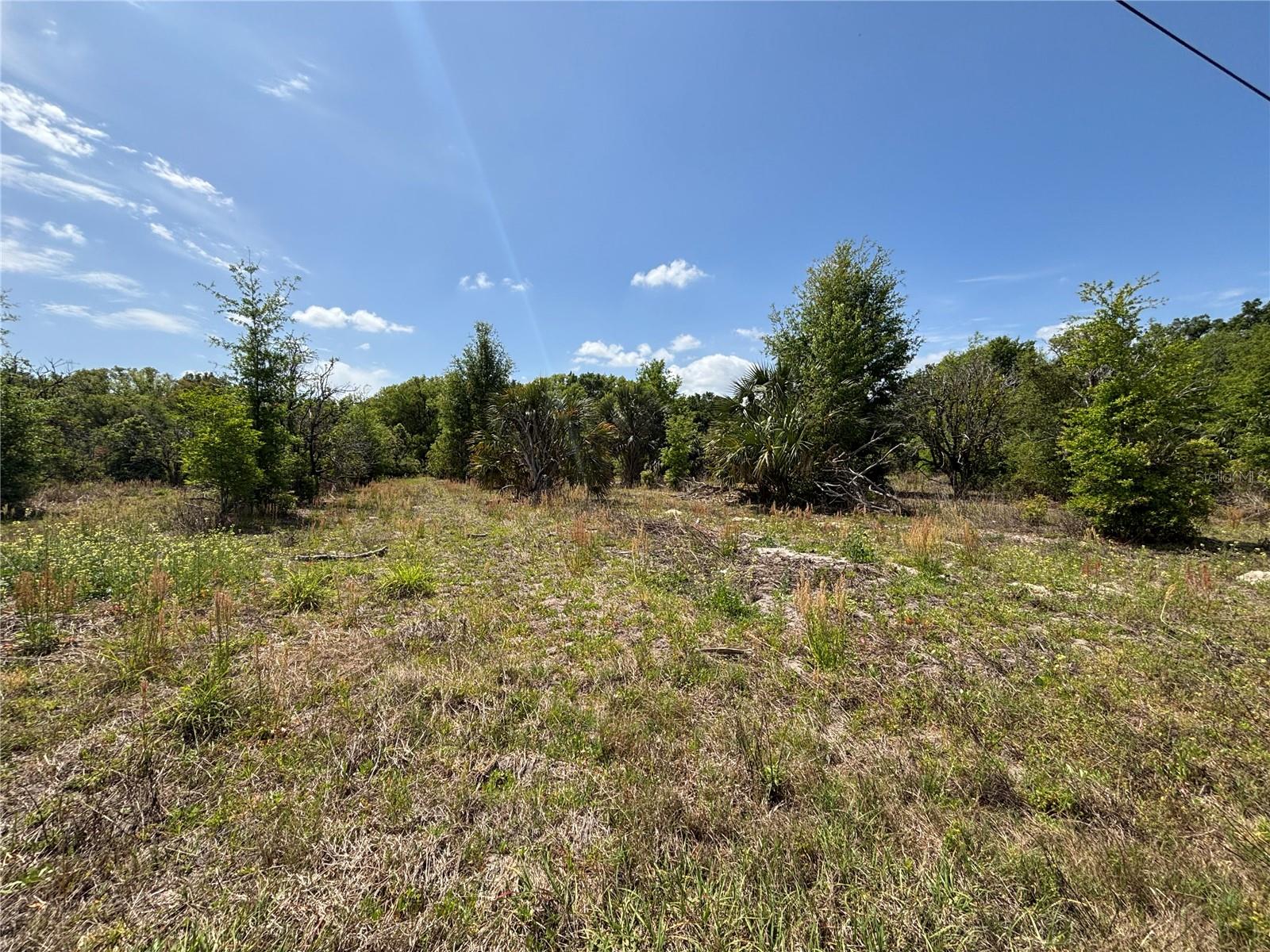 162ND PL SE, WEIRSDALE, FL, 32195