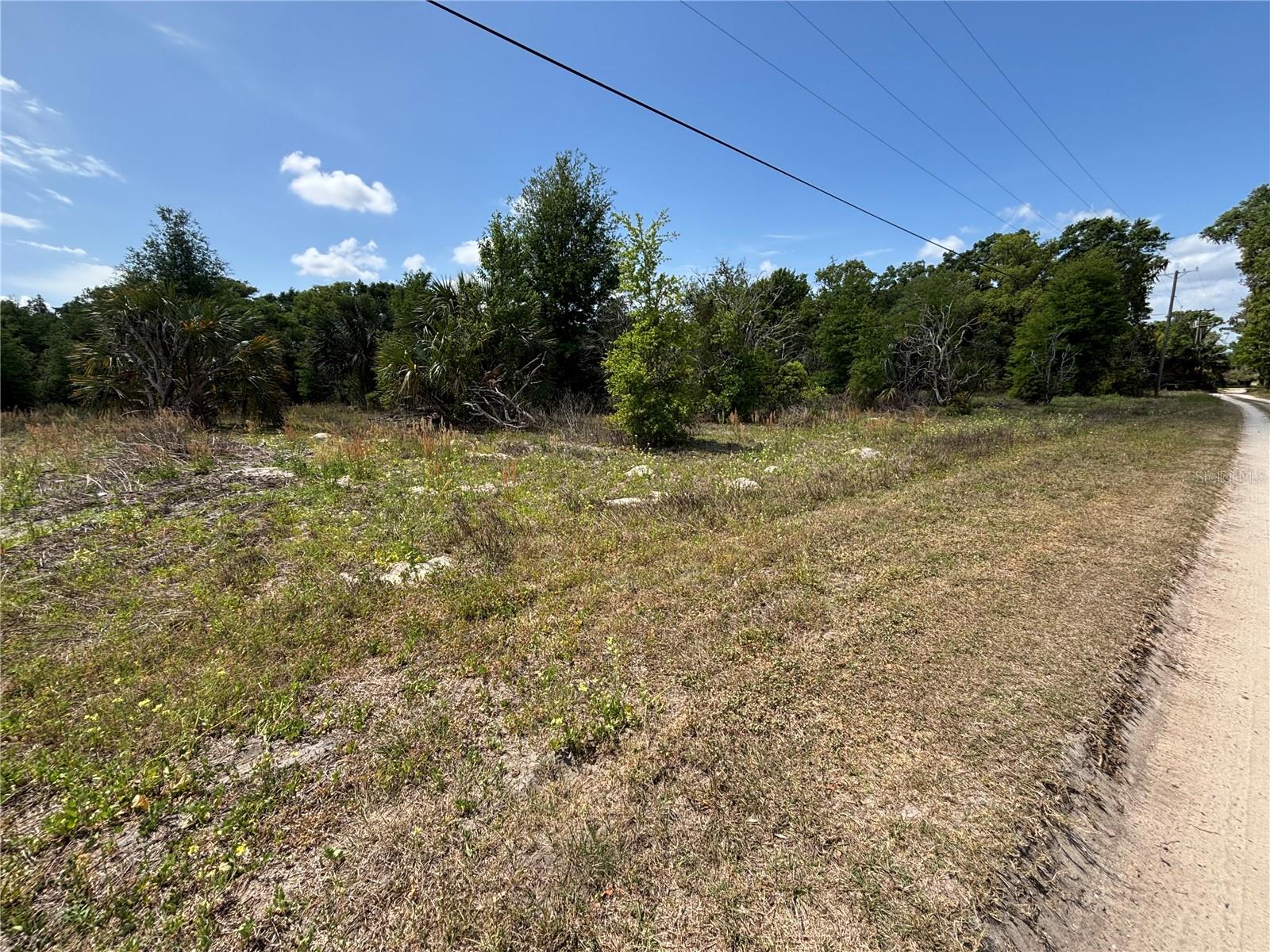 162ND PL SE, WEIRSDALE, FL, 32195