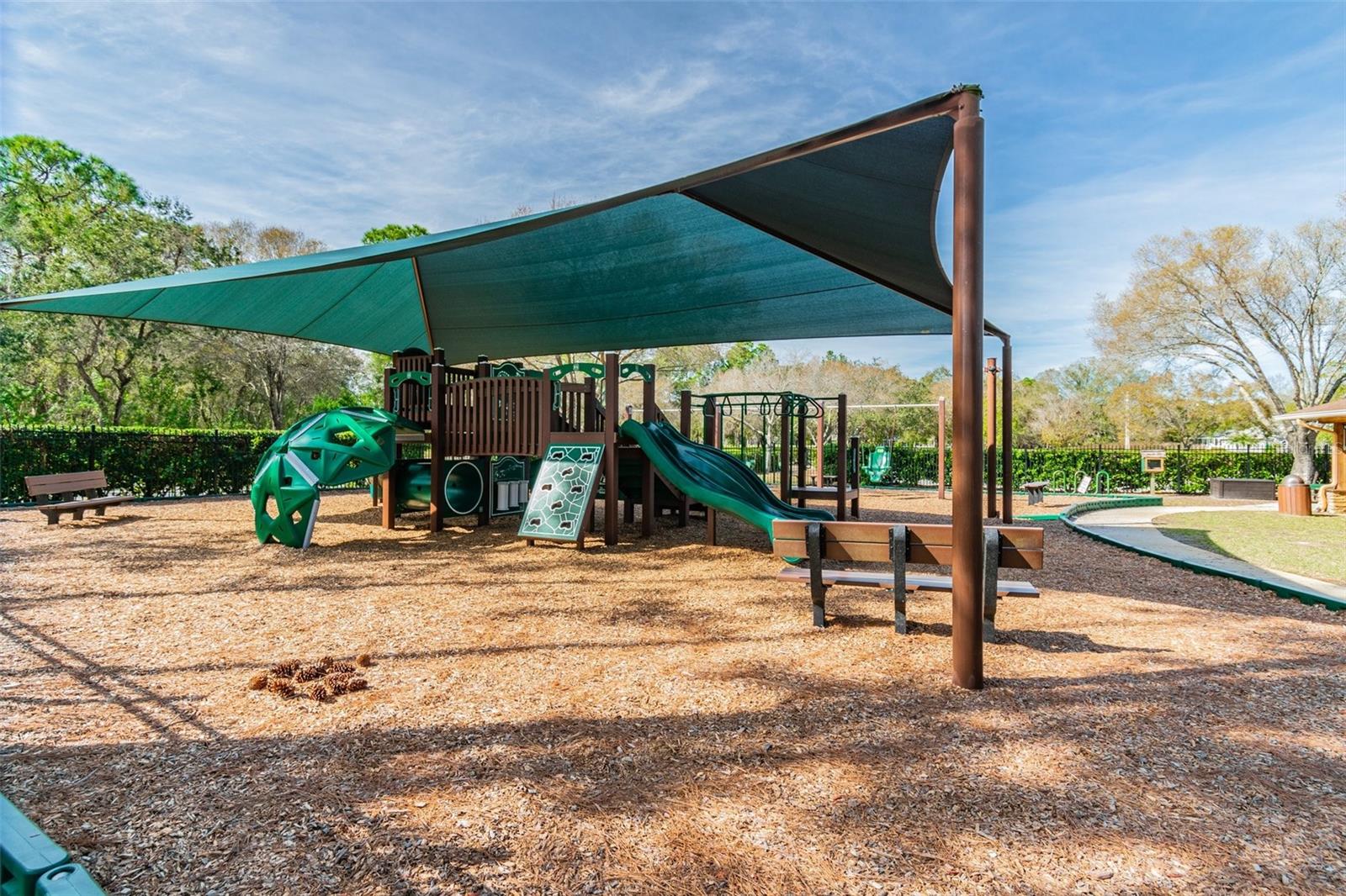 16323 MUIRFIELD DR, ODESSA, FL, 33556