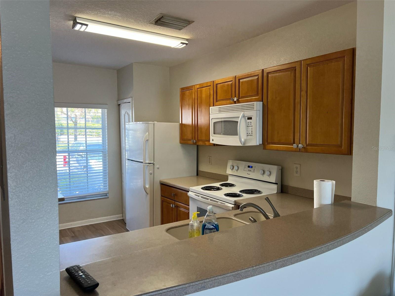 2480 LAKE WOODBERRY CIR, BRANDON, FL, 33510