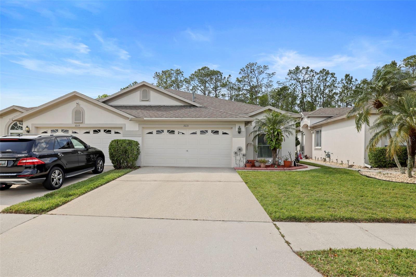 1615 SASSAFRAS DR, WESLEY CHAPEL, FL, 33543