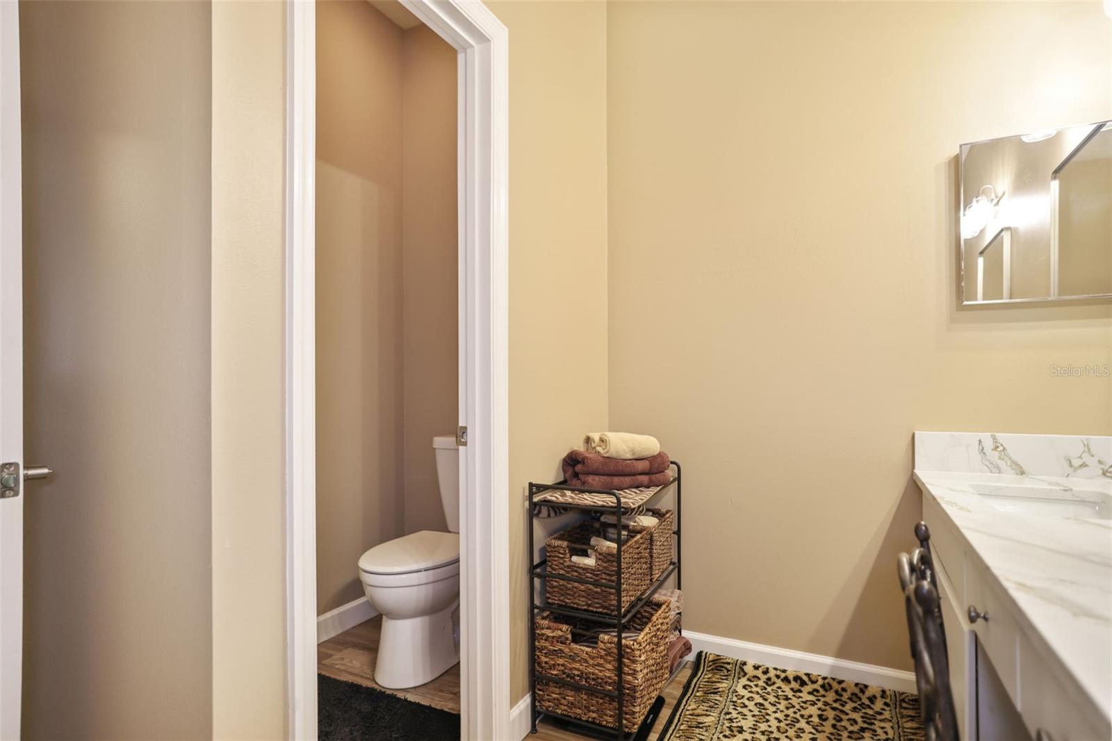 1615 SASSAFRAS DR, WESLEY CHAPEL, FL, 33543