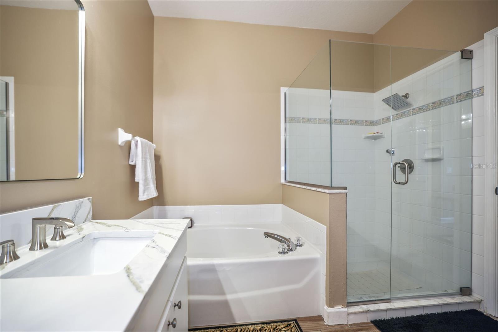 1615 SASSAFRAS DR, WESLEY CHAPEL, FL, 33543