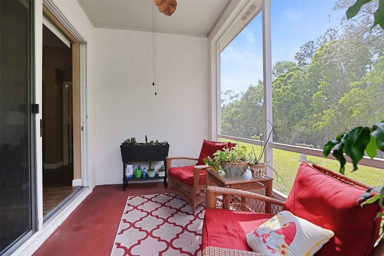1615 SASSAFRAS DR, WESLEY CHAPEL, FL, 33543
