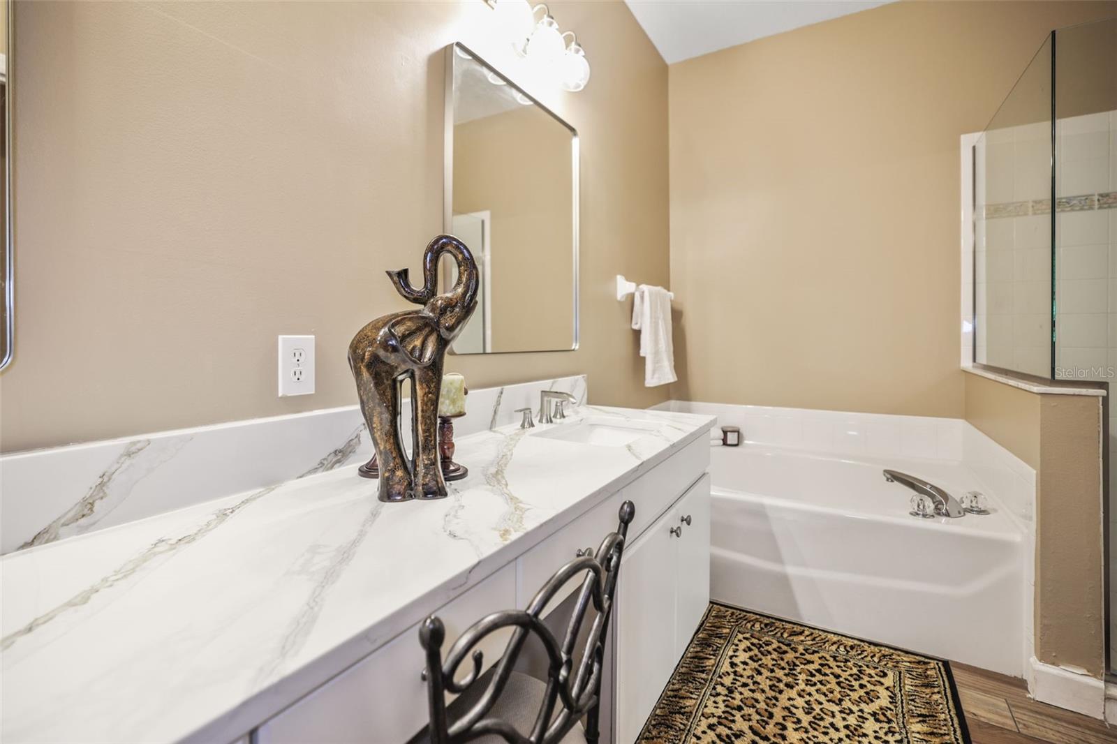1615 SASSAFRAS DR, WESLEY CHAPEL, FL, 33543