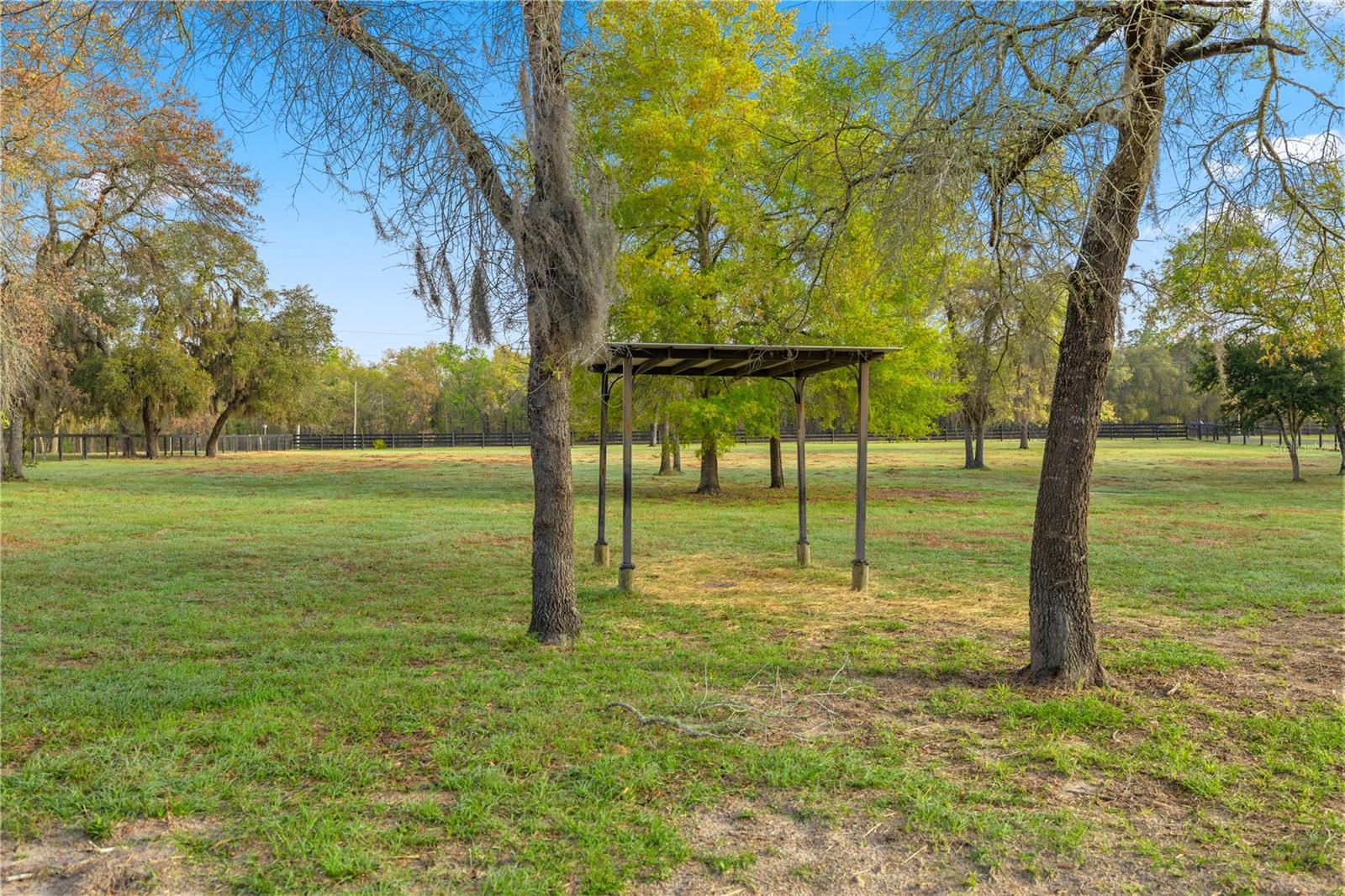 11590 SE 52ND ST, MORRISTON, FL, 32668