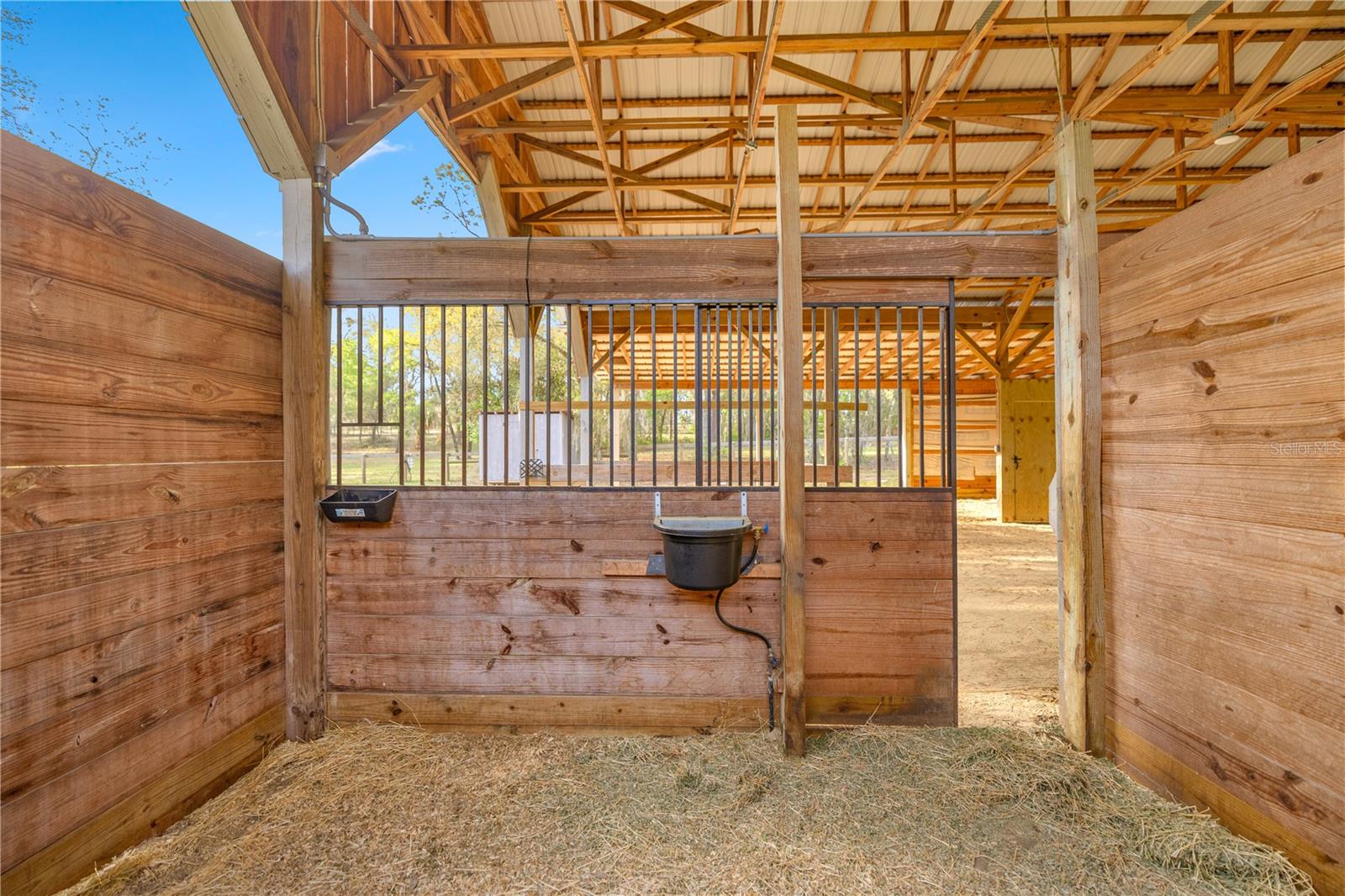 11590 SE 52ND ST, MORRISTON, FL, 32668