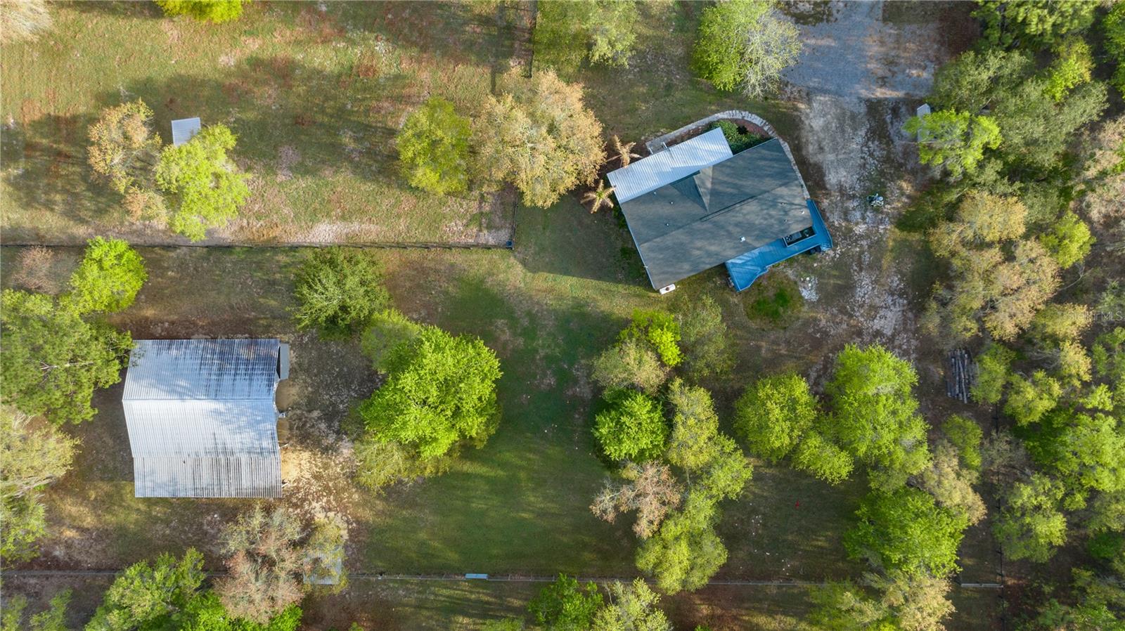 11590 SE 52ND ST, MORRISTON, FL, 32668