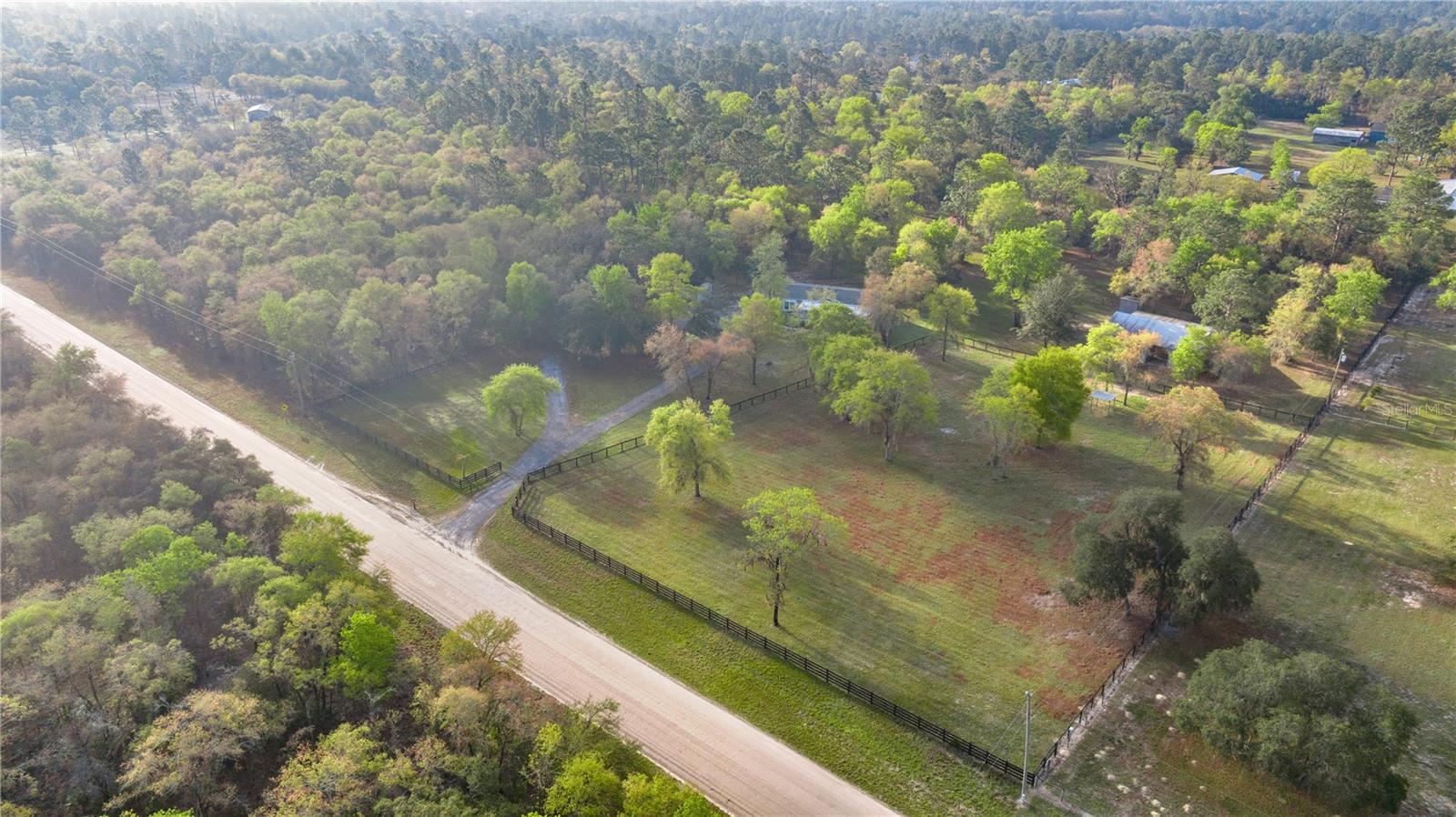 11590 SE 52ND ST, MORRISTON, FL, 32668