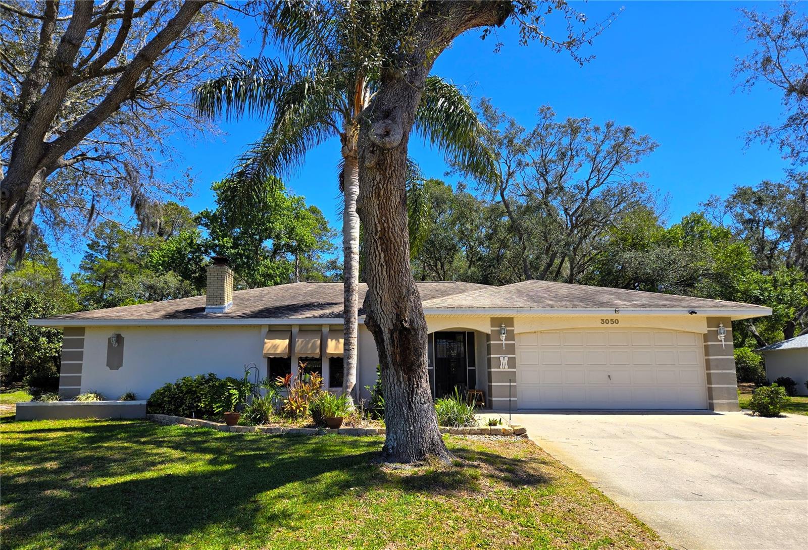 3050 BAYSHORE DR, SPRING HILL, FL, 34608