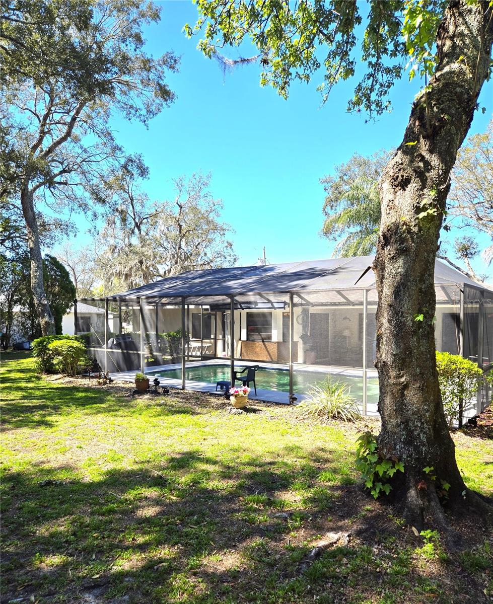 3050 BAYSHORE DR, SPRING HILL, FL, 34608
