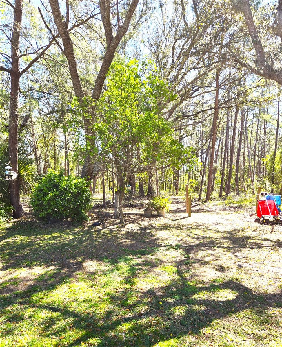 3050 BAYSHORE DR, SPRING HILL, FL, 34608