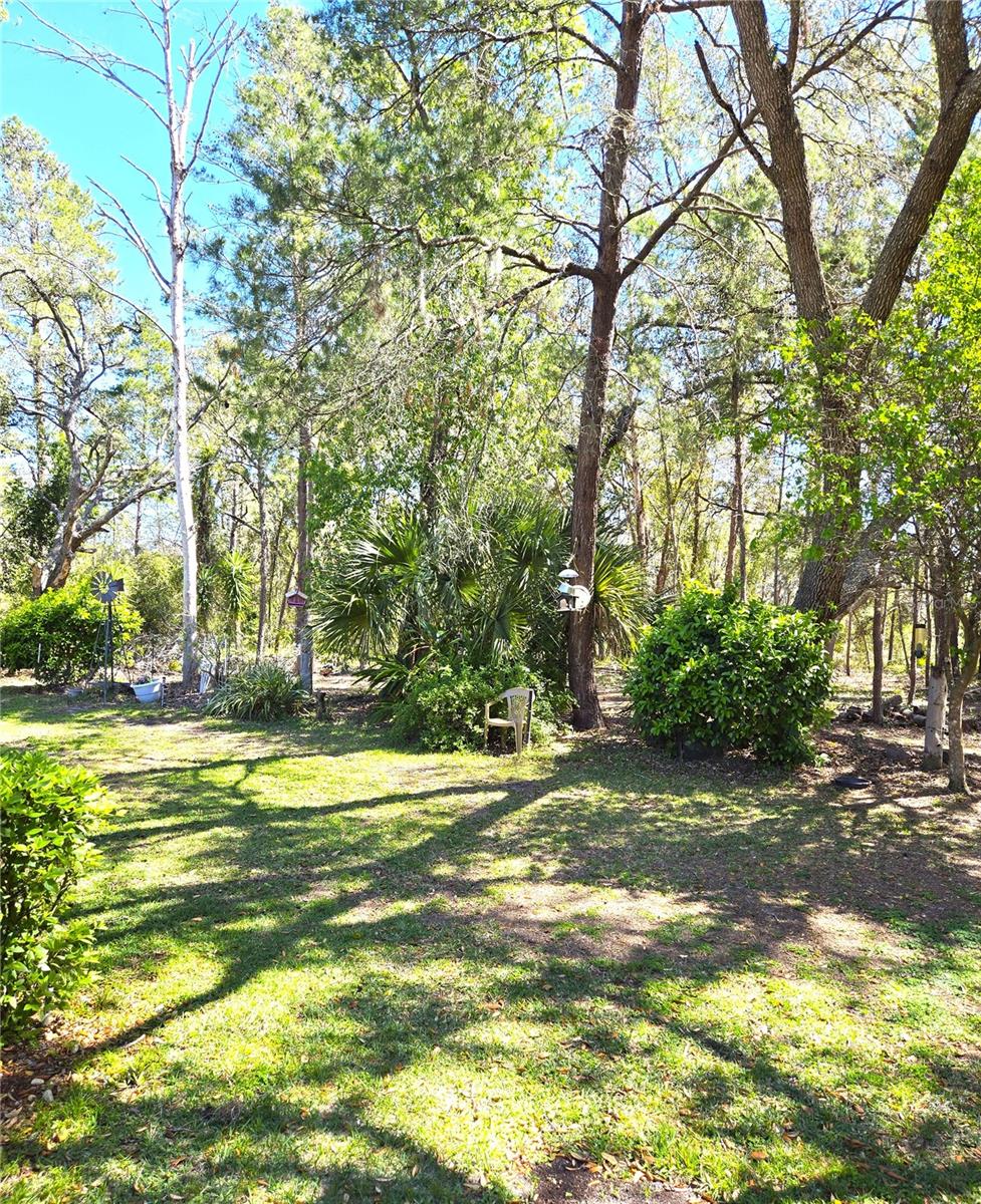 3050 BAYSHORE DR, SPRING HILL, FL, 34608