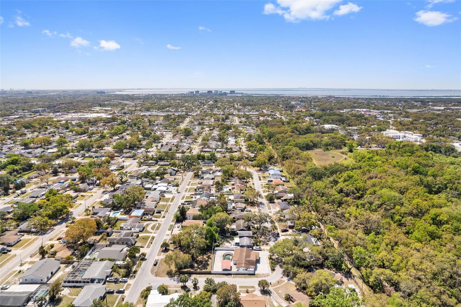 6421 SANTA MONICA DR, TAMPA, FL, 33615