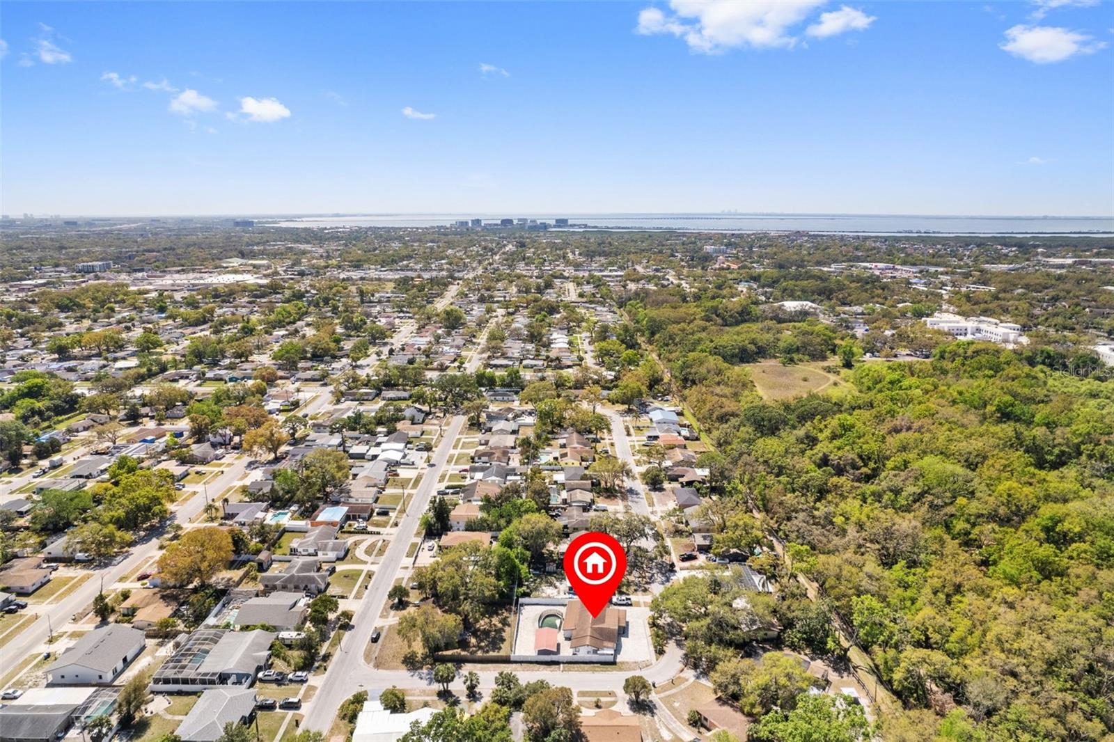 6421 SANTA MONICA DR, TAMPA, FL, 33615