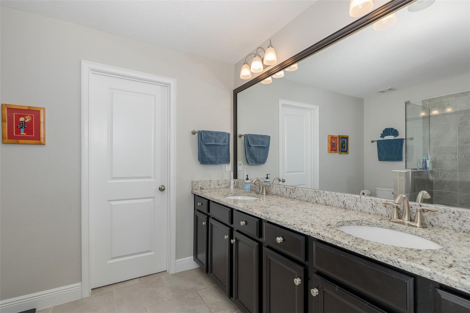 1010 MANGO CT, OLDSMAR, FL, 34677