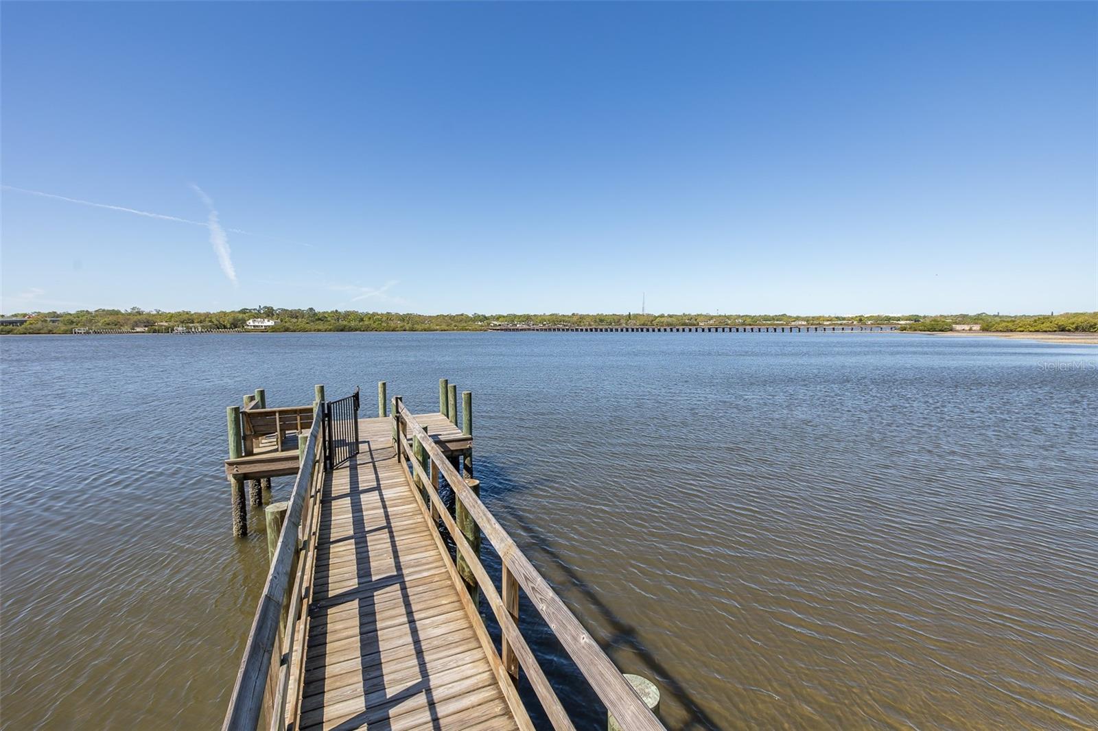 1010 MANGO CT, OLDSMAR, FL, 34677