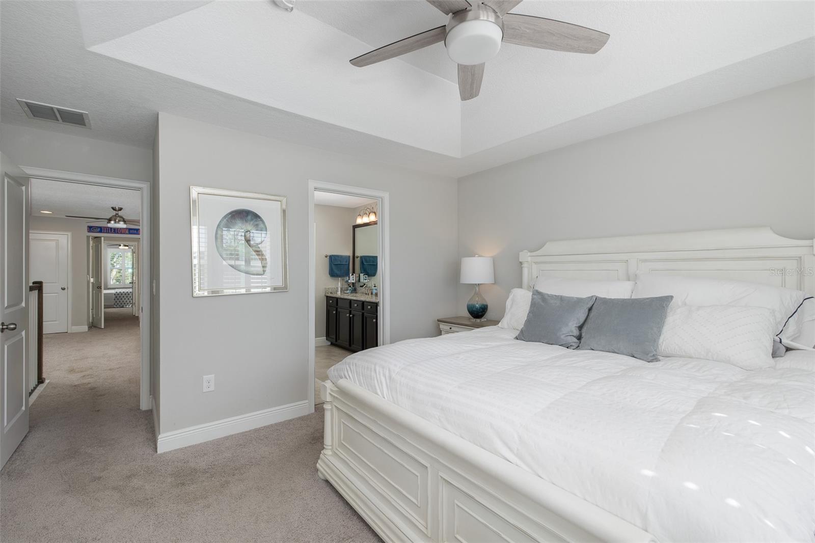 1010 MANGO CT, OLDSMAR, FL, 34677