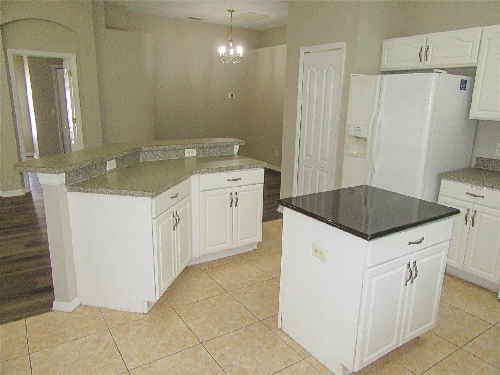 18847 NEW PASSAGE BLVD, LAND O LAKES, FL, 34638