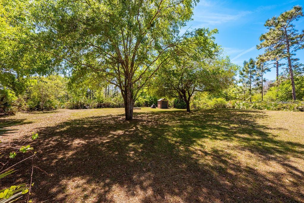 20804 SABAL ST, ORLANDO, FL, 32833