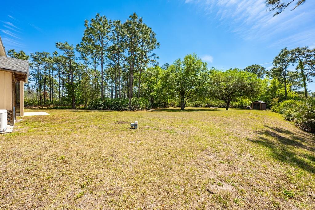 20804 SABAL ST, ORLANDO, FL, 32833