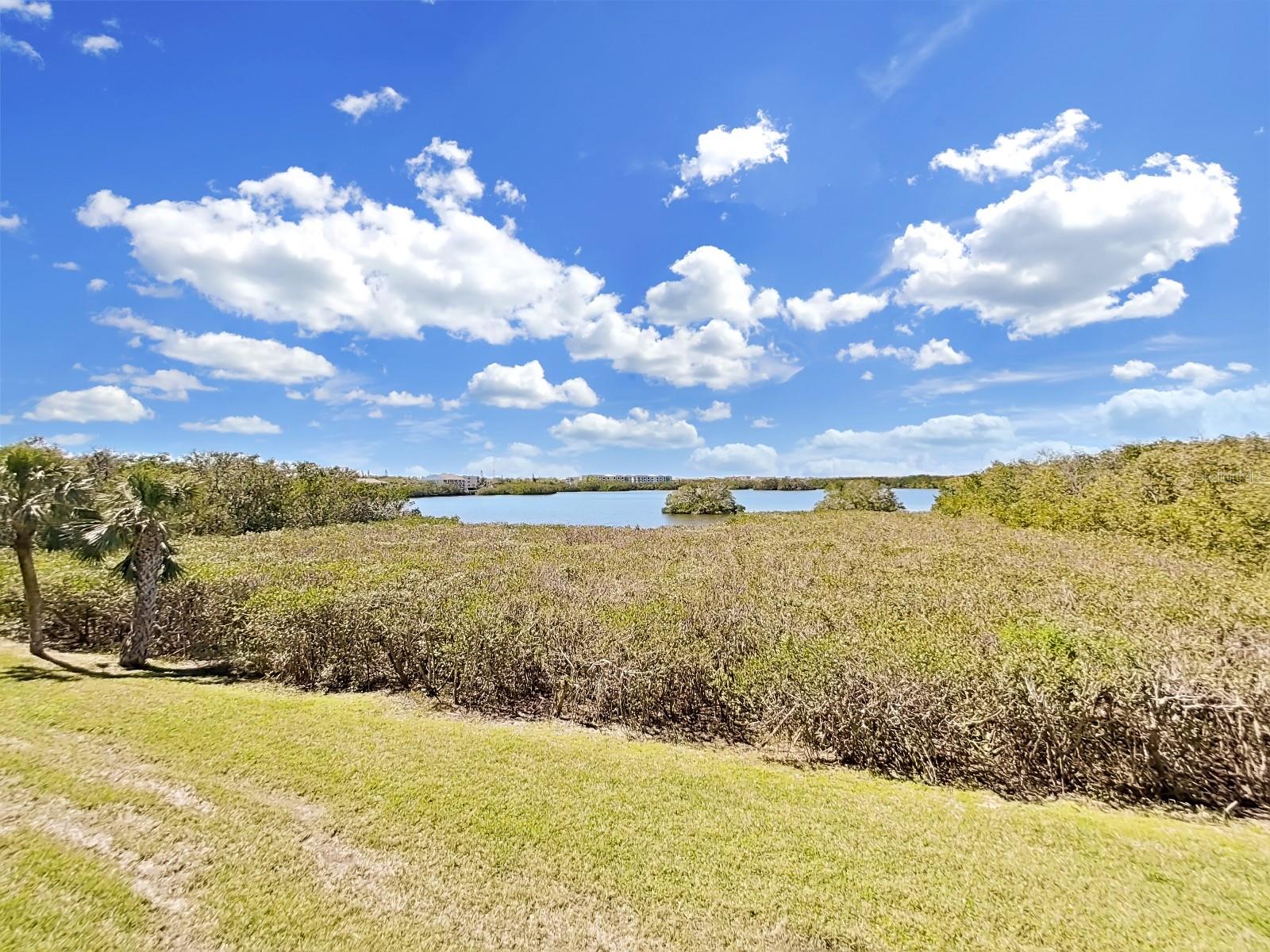 6495 SHORELINE DR #8105, SEMINOLE, FL, 33708