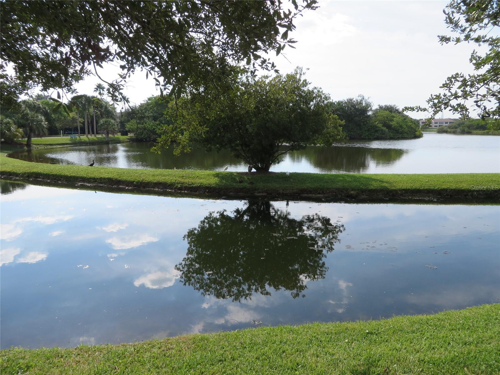 6495 SHORELINE DR #8105, SEMINOLE, FL, 33708