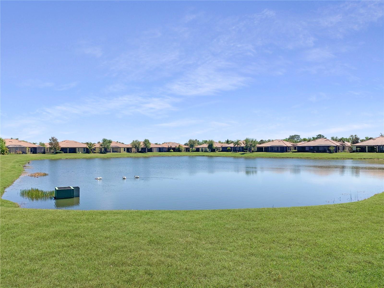 5472 SUNSET FALLS DR, APOLLO BEACH, FL, 33572