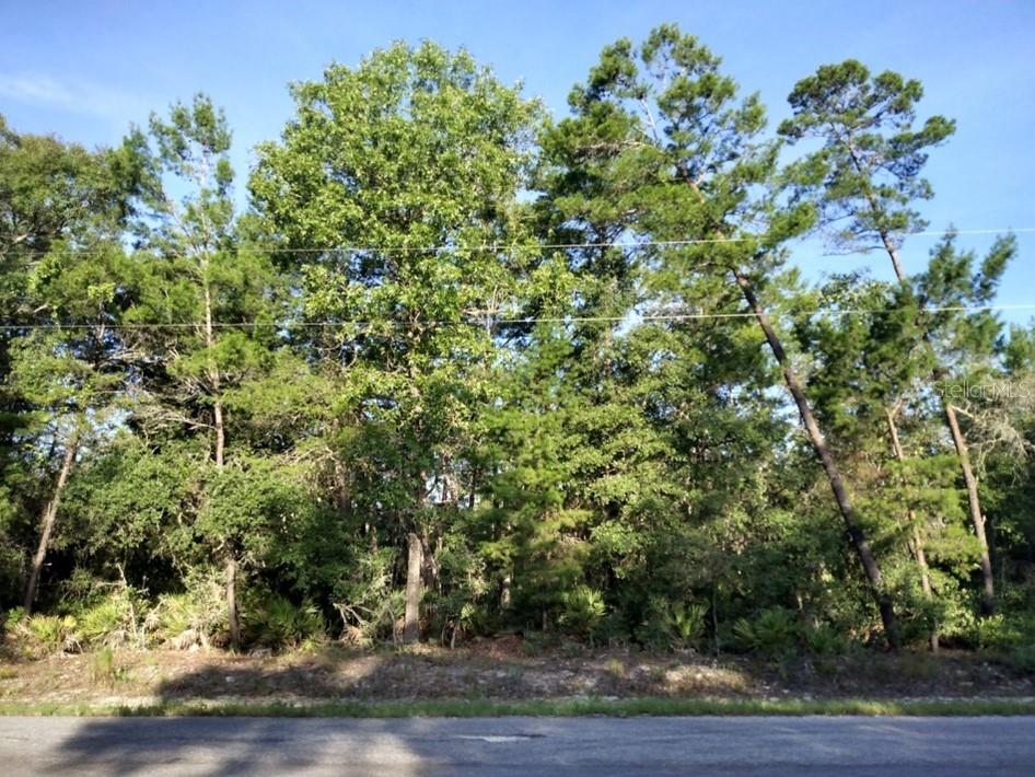 TBD SEQUOIA TRAIL WAY, OCKLAWAHA, FL, 32179