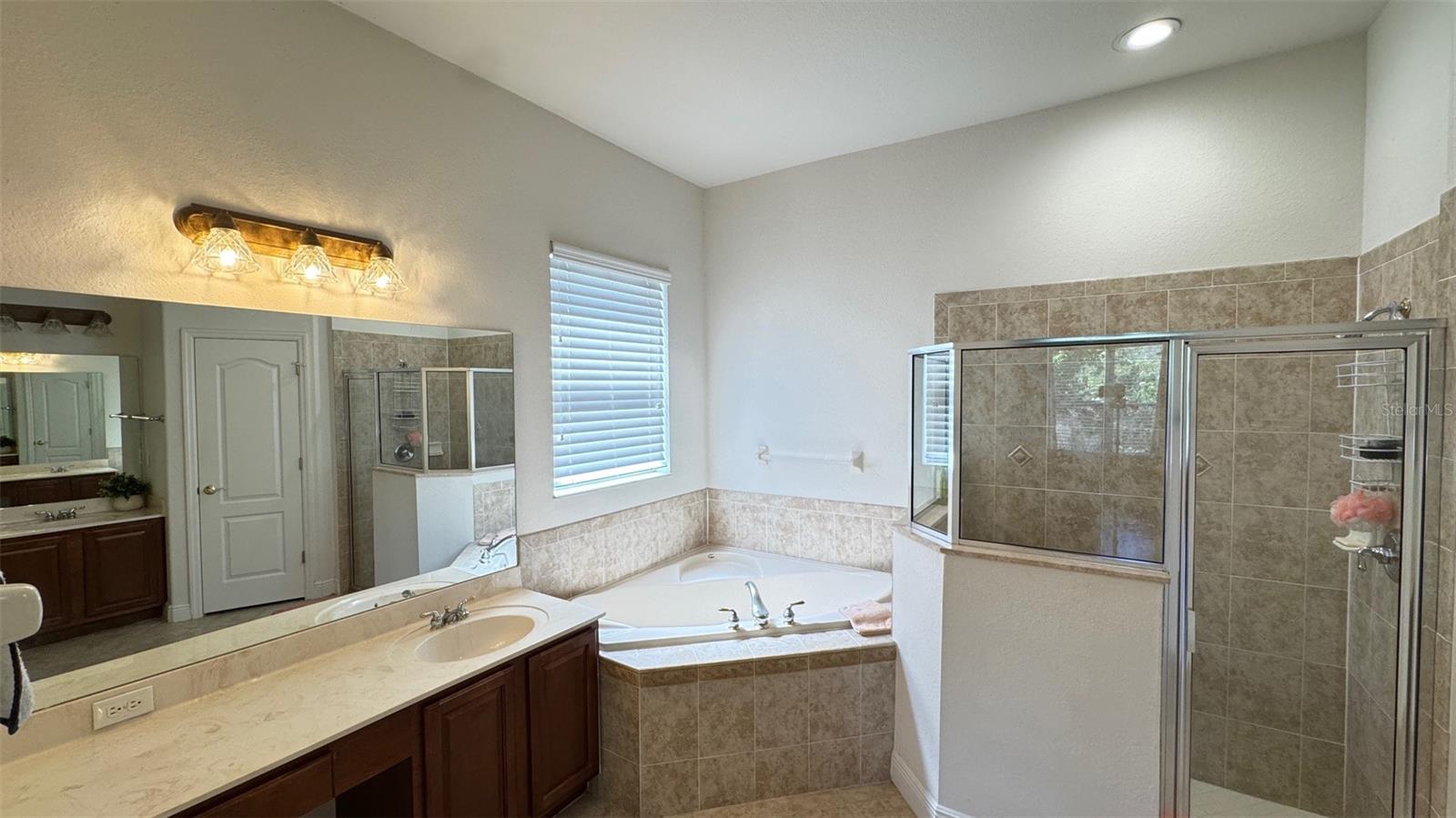 10048 CLEGHORN DR, SAN ANTONIO, FL, 33576