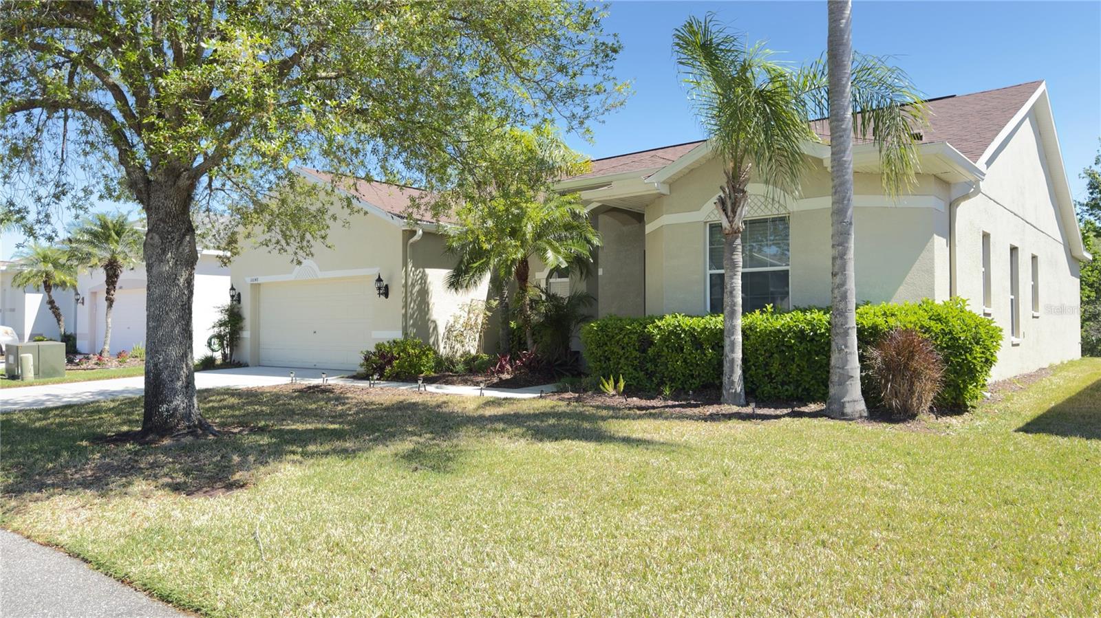 10048 CLEGHORN DR, SAN ANTONIO, FL, 33576