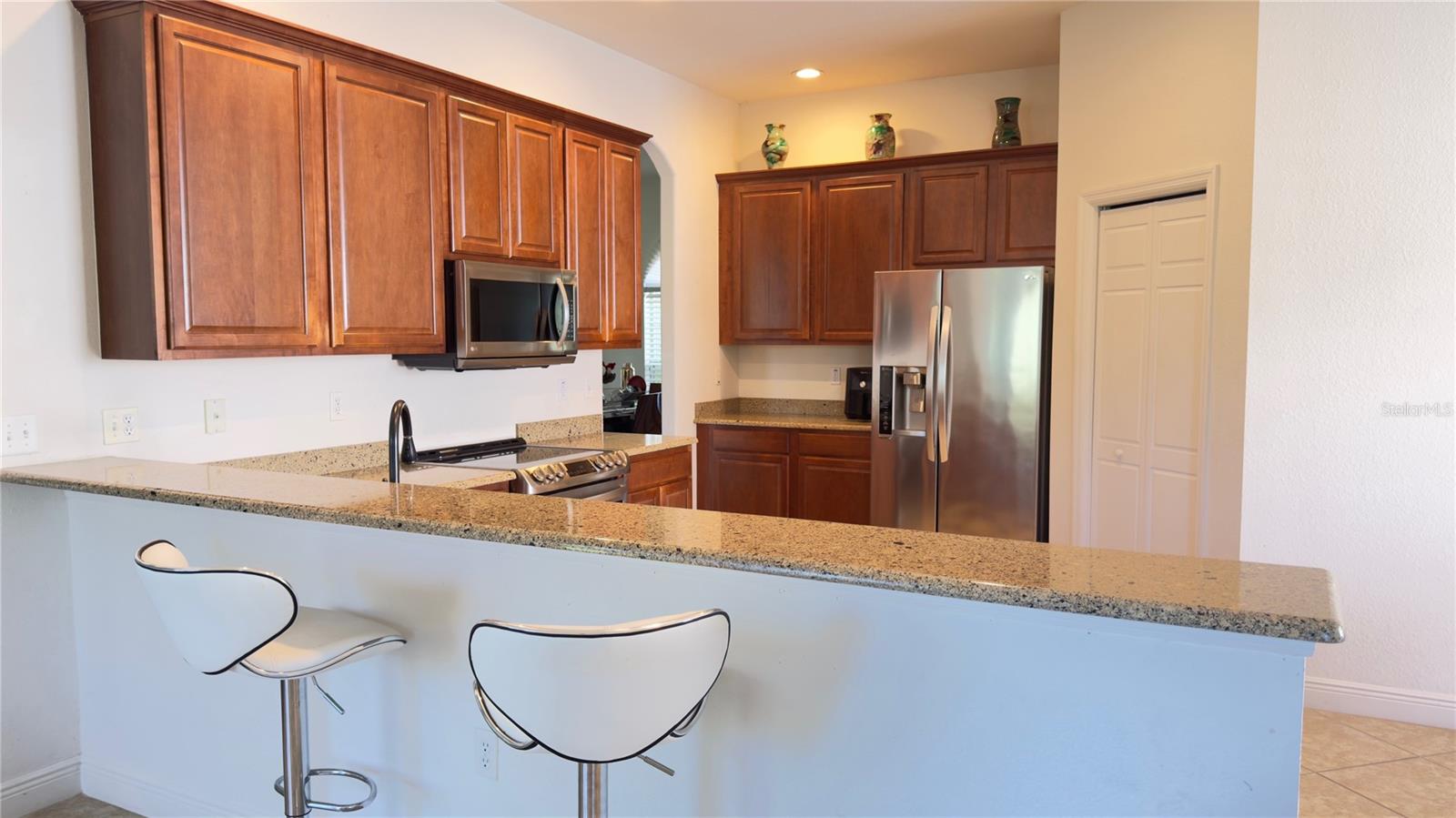 10048 CLEGHORN DR, SAN ANTONIO, FL, 33576