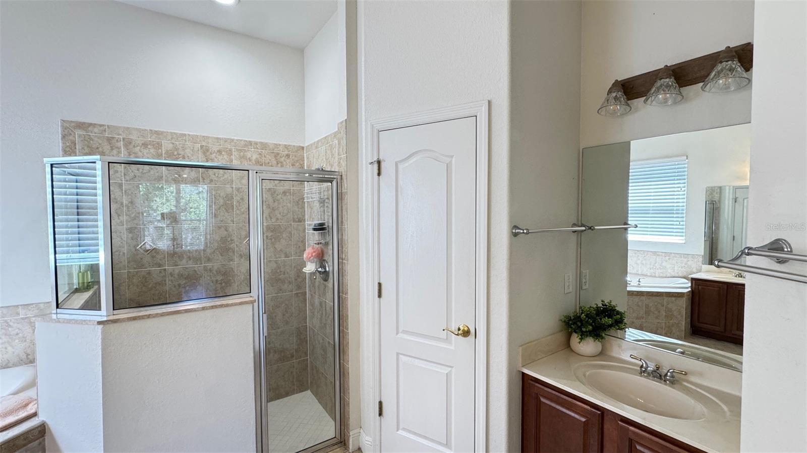 10048 CLEGHORN DR, SAN ANTONIO, FL, 33576