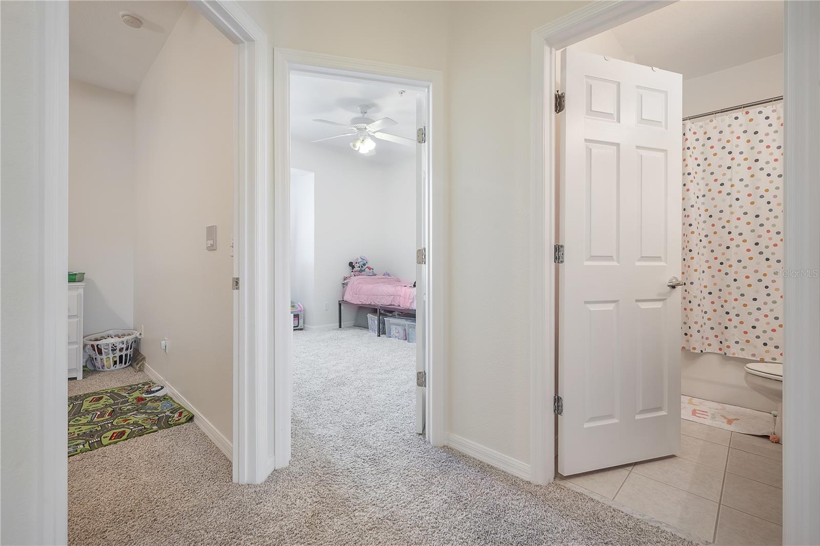 10250 BAYOU GRANDE AVE, SEMINOLE, FL, 33772