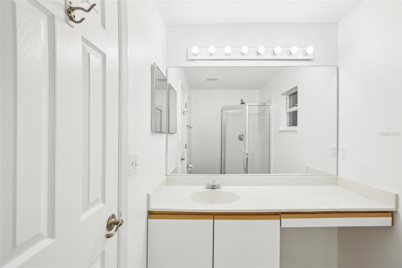 3088 ALEX AVE, SPRING HILL, FL, 34609