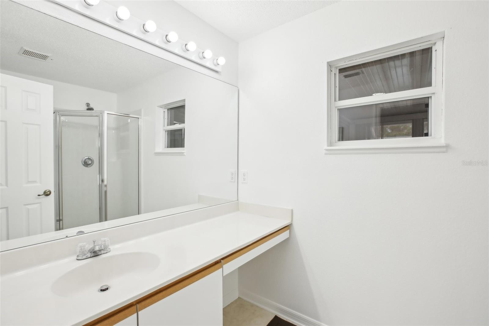 3088 ALEX AVE, SPRING HILL, FL, 34609