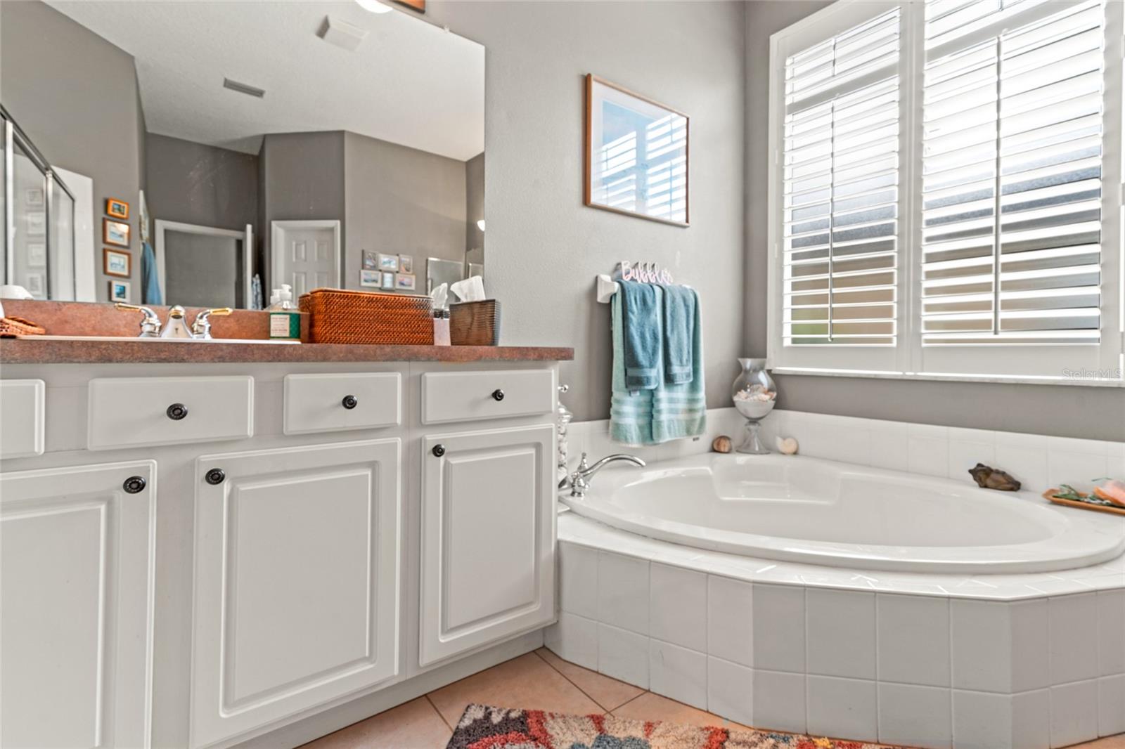 22932 COLLRIDGE DR, LAND O LAKES, FL, 34639