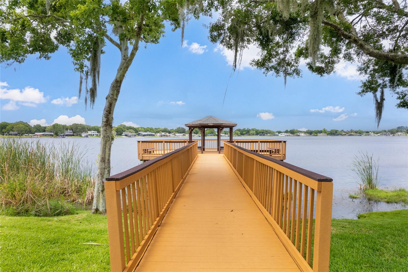 22932 COLLRIDGE DR, LAND O LAKES, FL, 34639