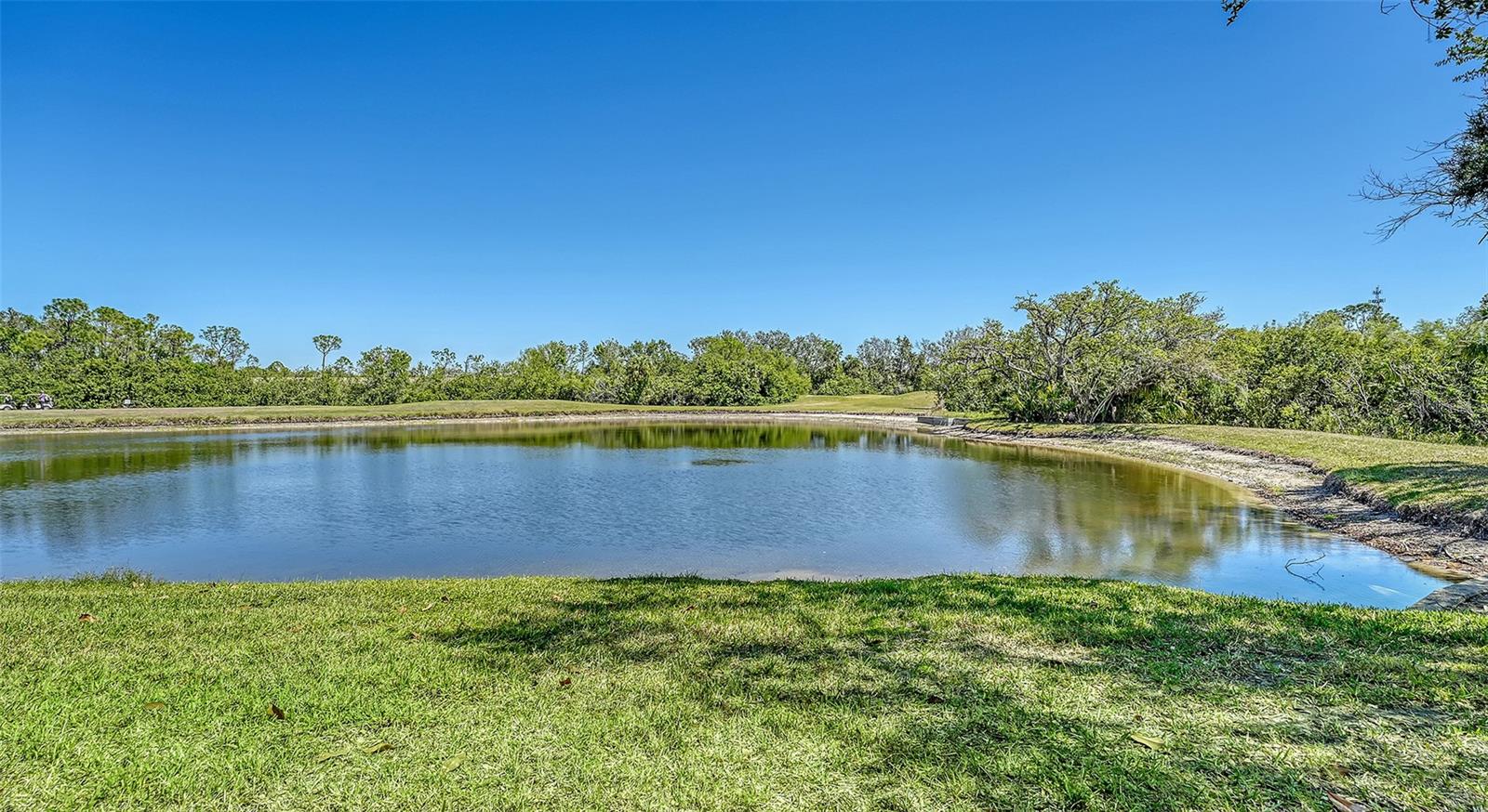 7687 SWEETBAY CIR #7687, BRADENTON, FL, 34203