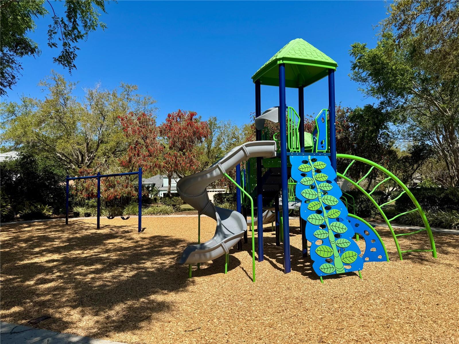 2725 BEECH GROVE LN, WESLEY CHAPEL, FL, 33544