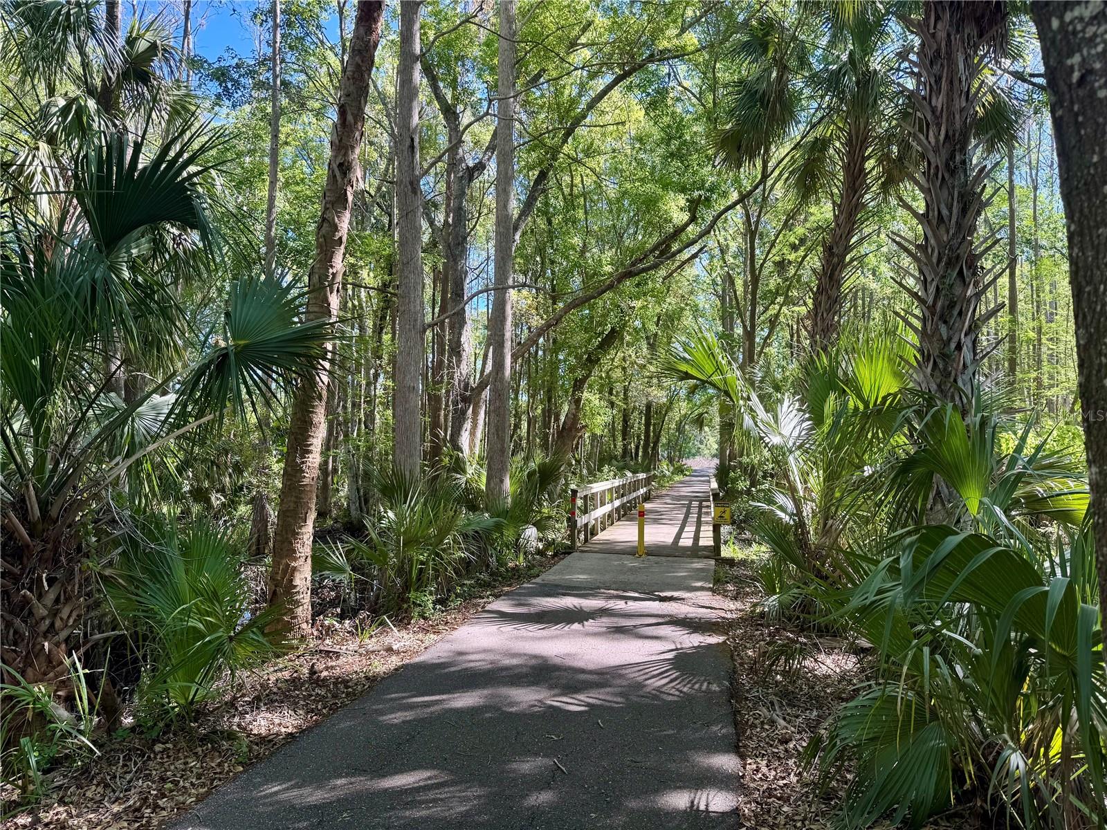 2725 BEECH GROVE LN, WESLEY CHAPEL, FL, 33544