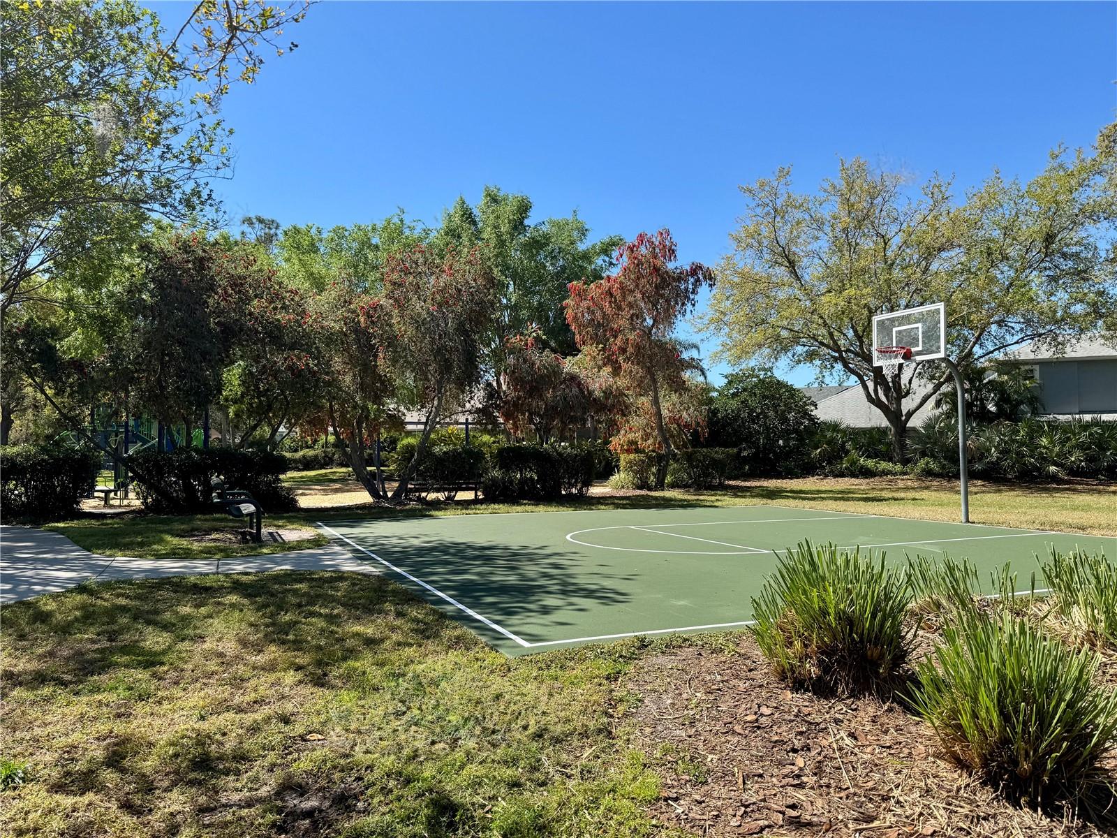 2725 BEECH GROVE LN, WESLEY CHAPEL, FL, 33544