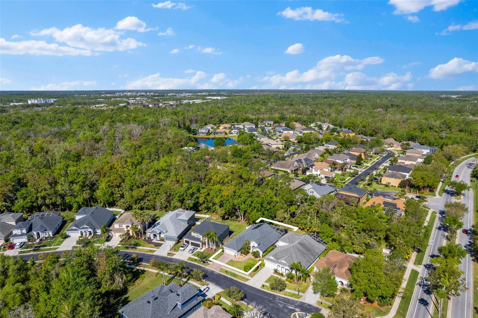2725 BEECH GROVE LN, WESLEY CHAPEL, FL, 33544
