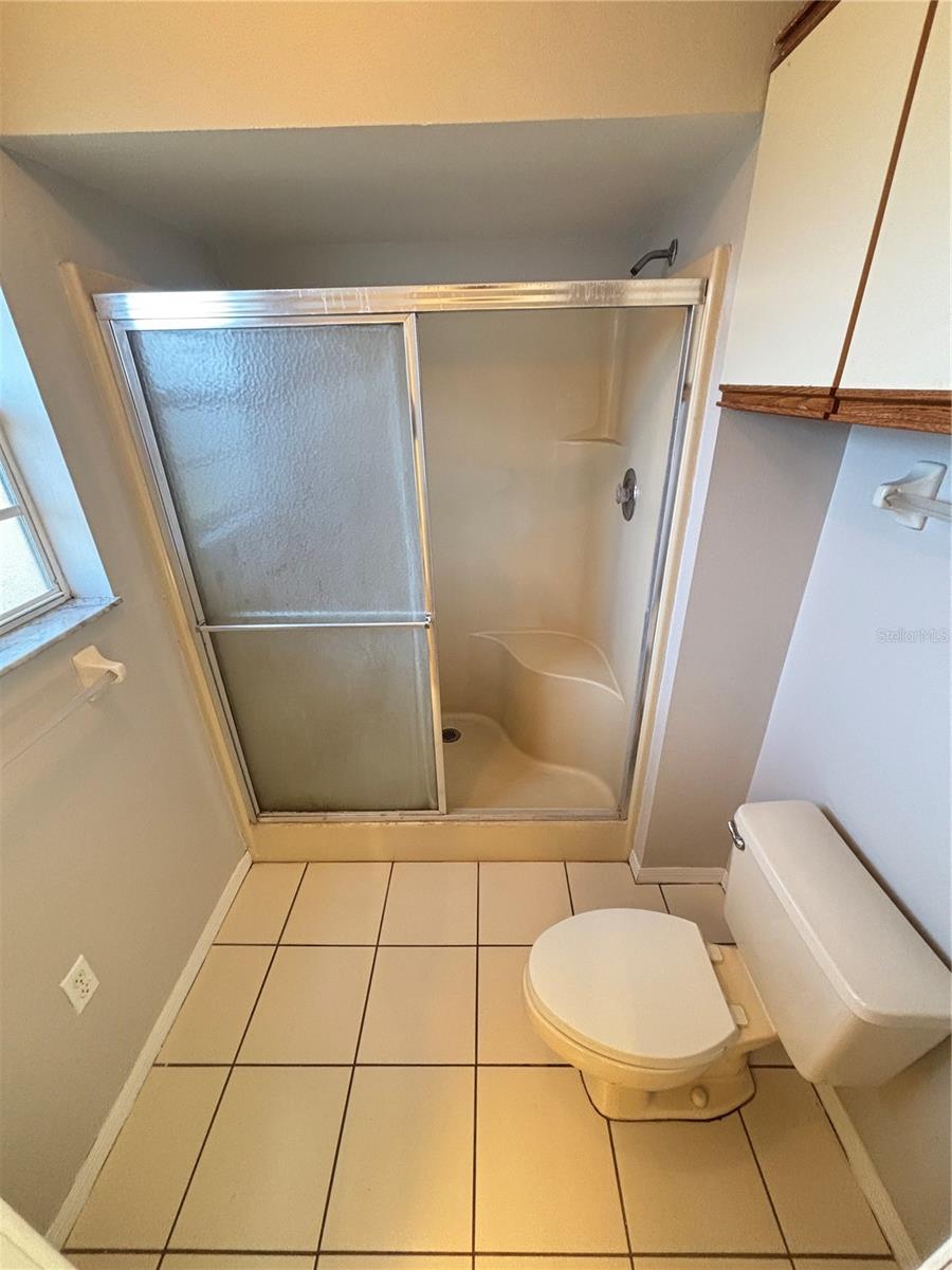 33746 TARA WOOD DR, LEESBURG, FL, 34788