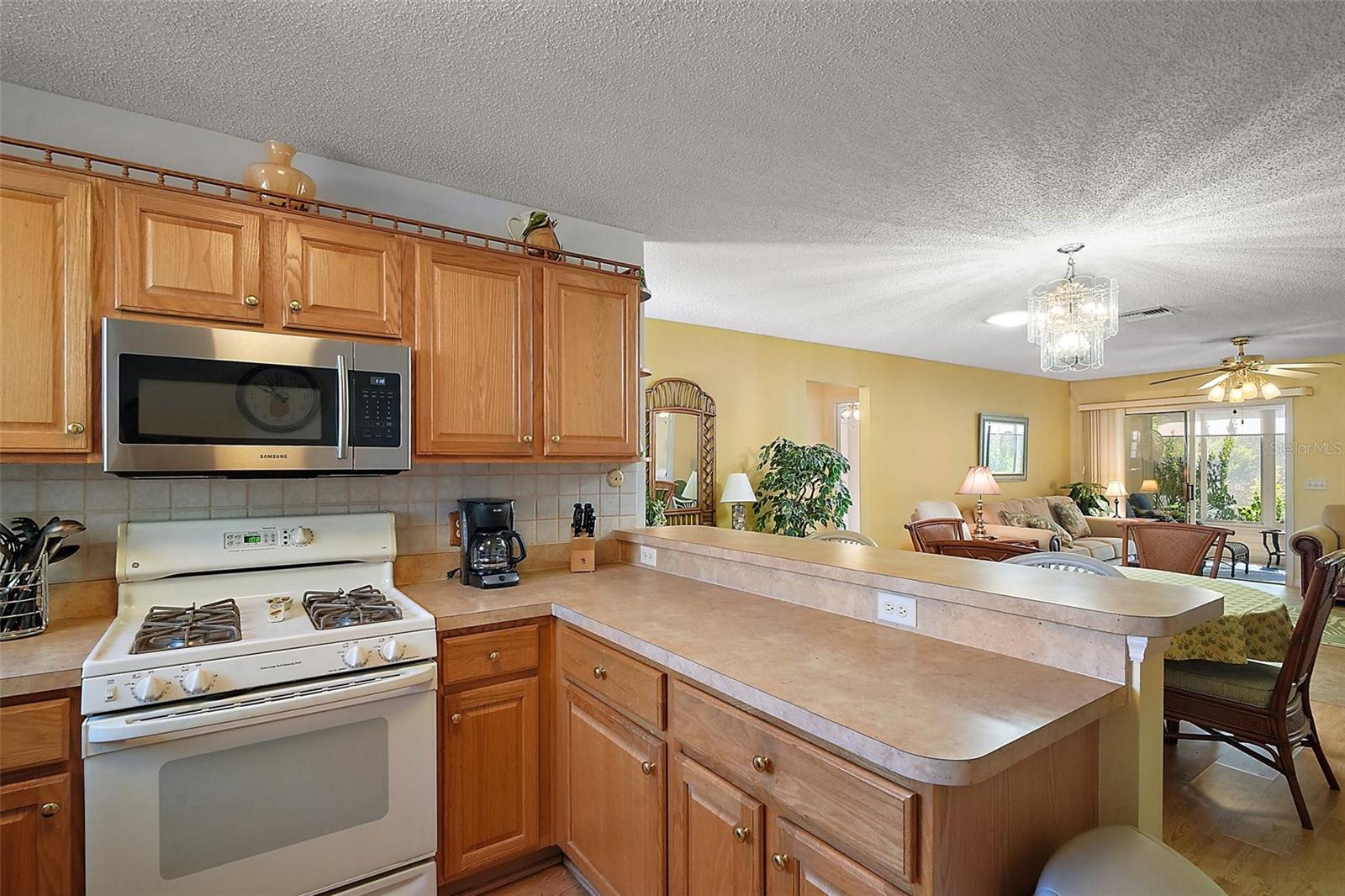 7650 SE 174TH GAILLARD PL, THE VILLAGES, FL, 32162