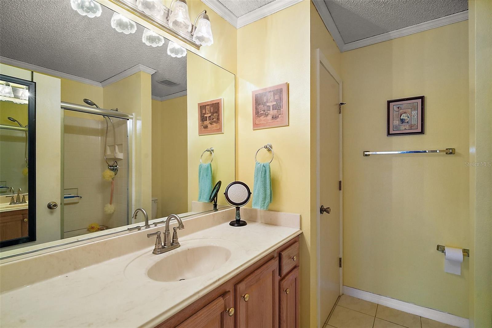 7650 SE 174TH GAILLARD PL, THE VILLAGES, FL, 32162